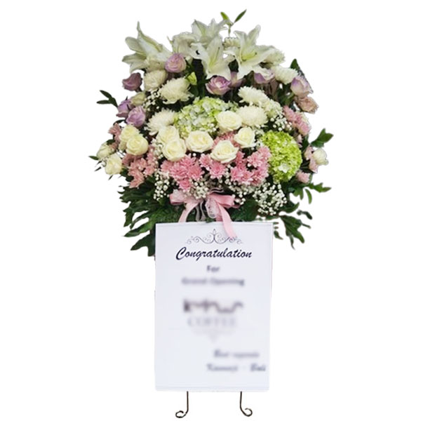 bunga standing solo 4