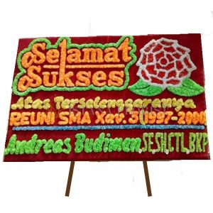 bunga papan palembang