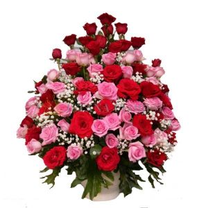 bunga meja bogor cocok untuk bunga hari ibu