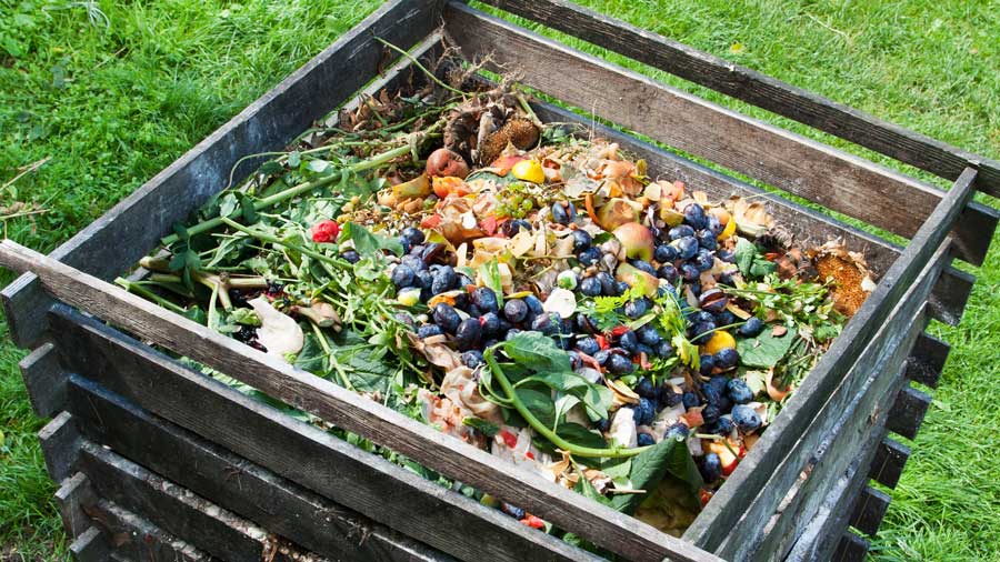 cara-membuat-pupuk-kompos-di-rumah