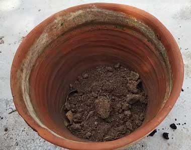 langkah-1-membuat-kompos