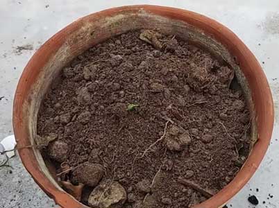 langkah-3-membuat-kompos