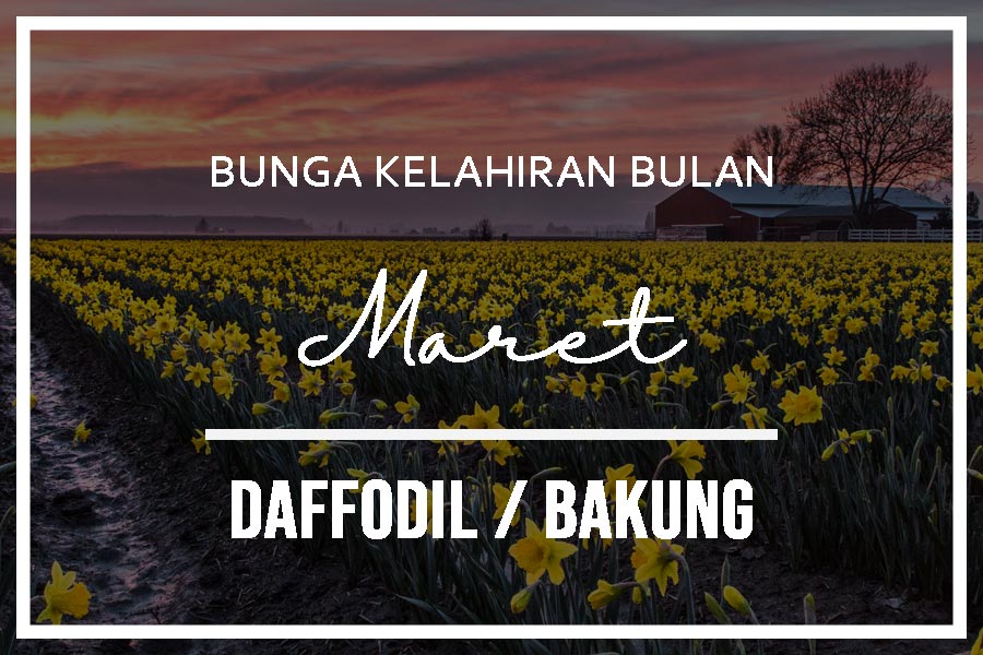 bunga lahir bulan maret