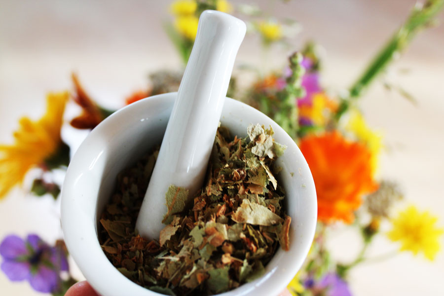 bunga yang punya manfaat kesehatan