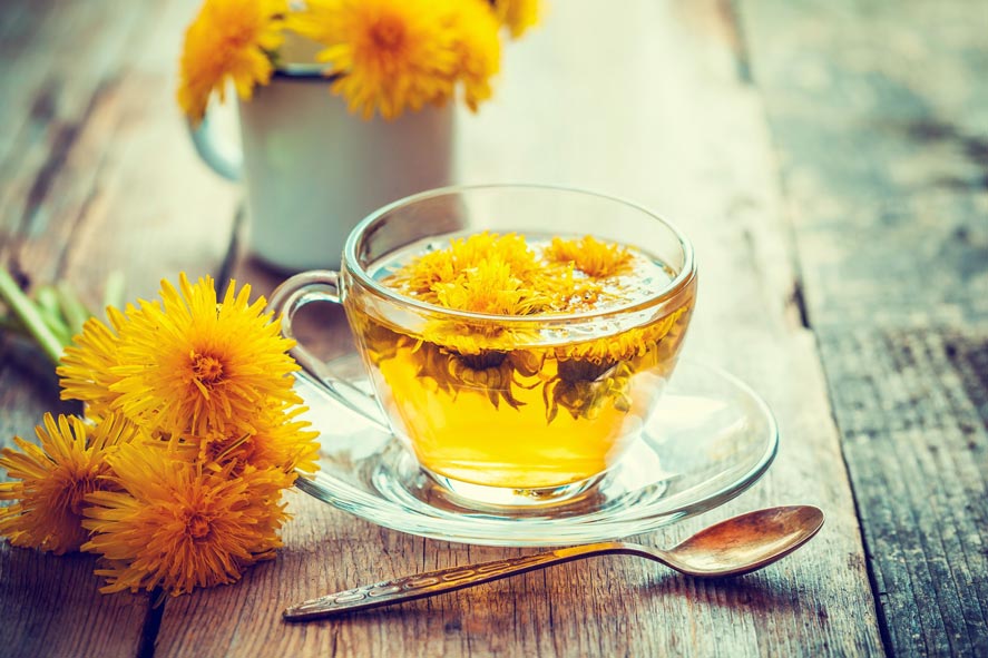 teh bunga dandelion