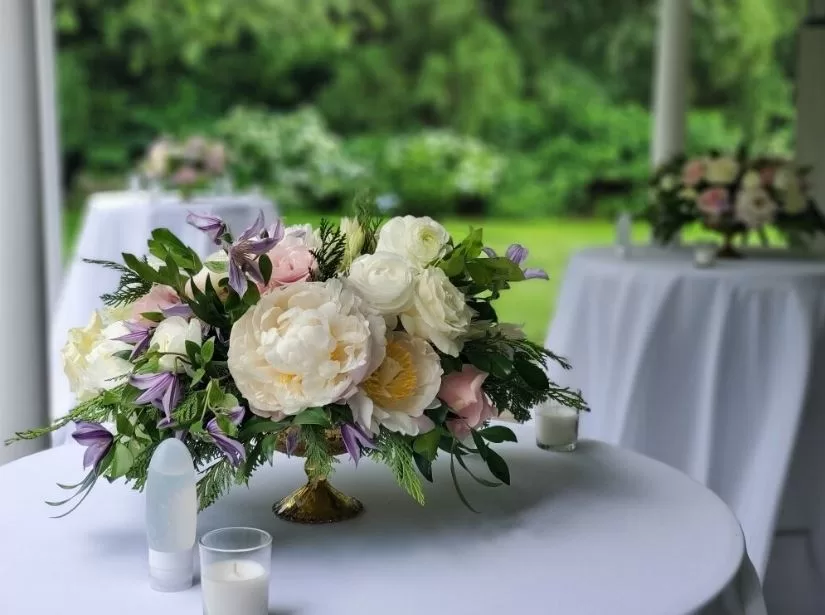 9. Manfaat Bunga Meja Jakarta Sebagai Hiasan yang Menyegarkan