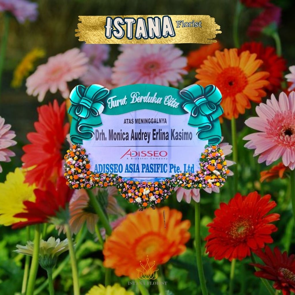 Mengapa Gerbera Menjadi Pilihan Utama untuk Bunga Papan