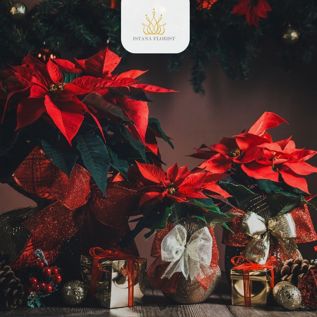 kata kata ucapan Natal