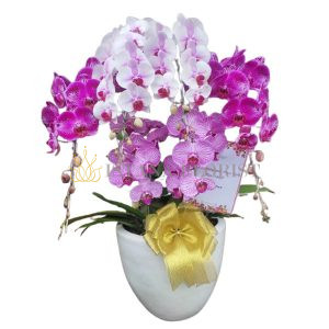 bunga meja anggrek jakarta 12