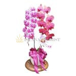 bunga meja anggrek jakarta 4