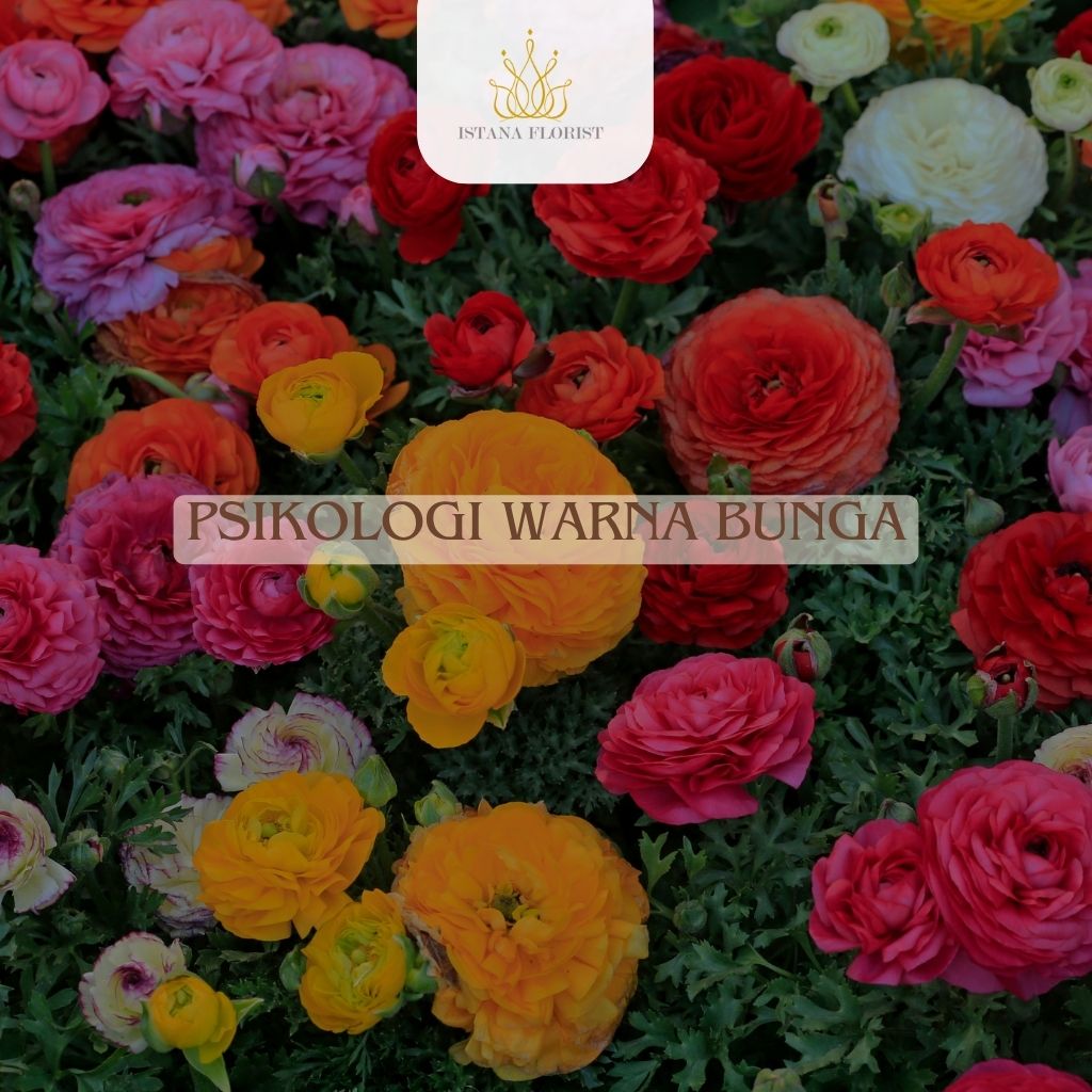 Psikologi Warna Bunga