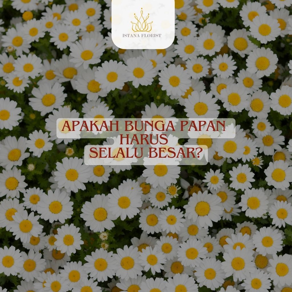 Apakah Bunga Papan Harus Selalu Besar?